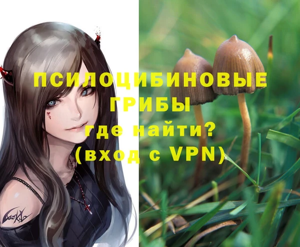 не бодяженный Аркадак