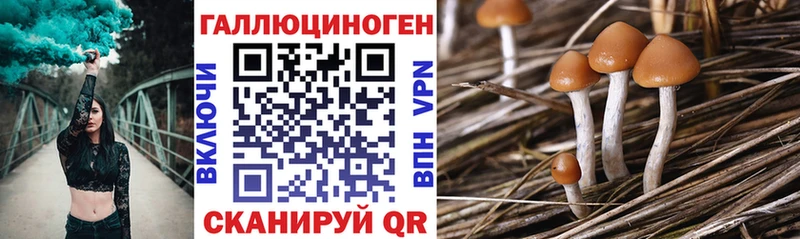 где найти наркотики  Узловая  Псилоцибиновые грибы Magic Shrooms 